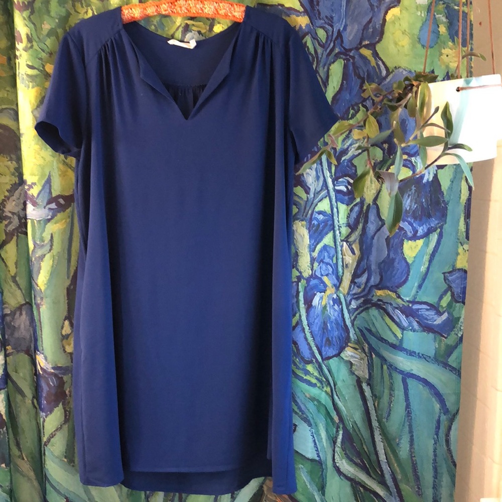 Blue dress with pockets